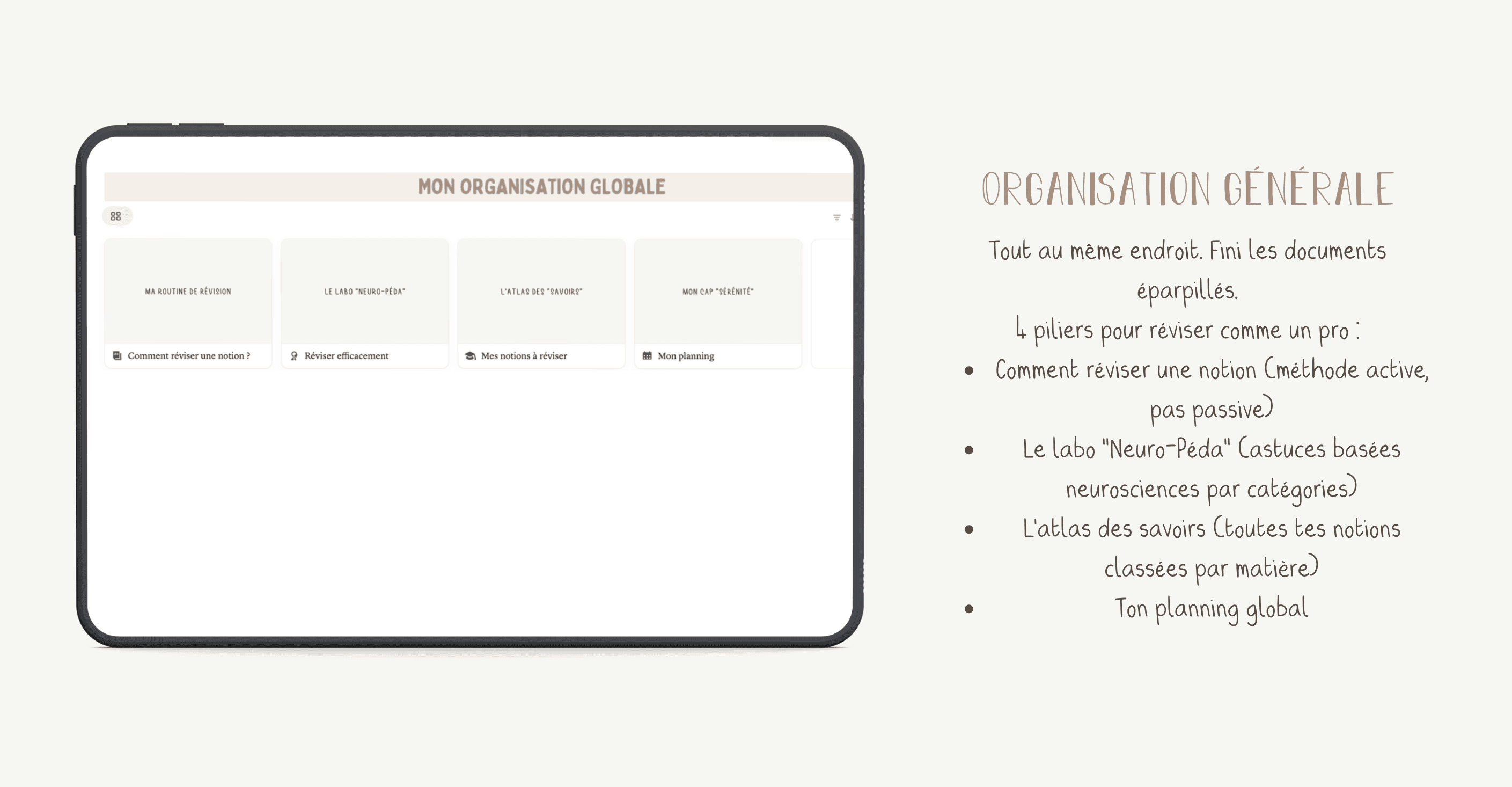 Aperçu de l'organisation générale